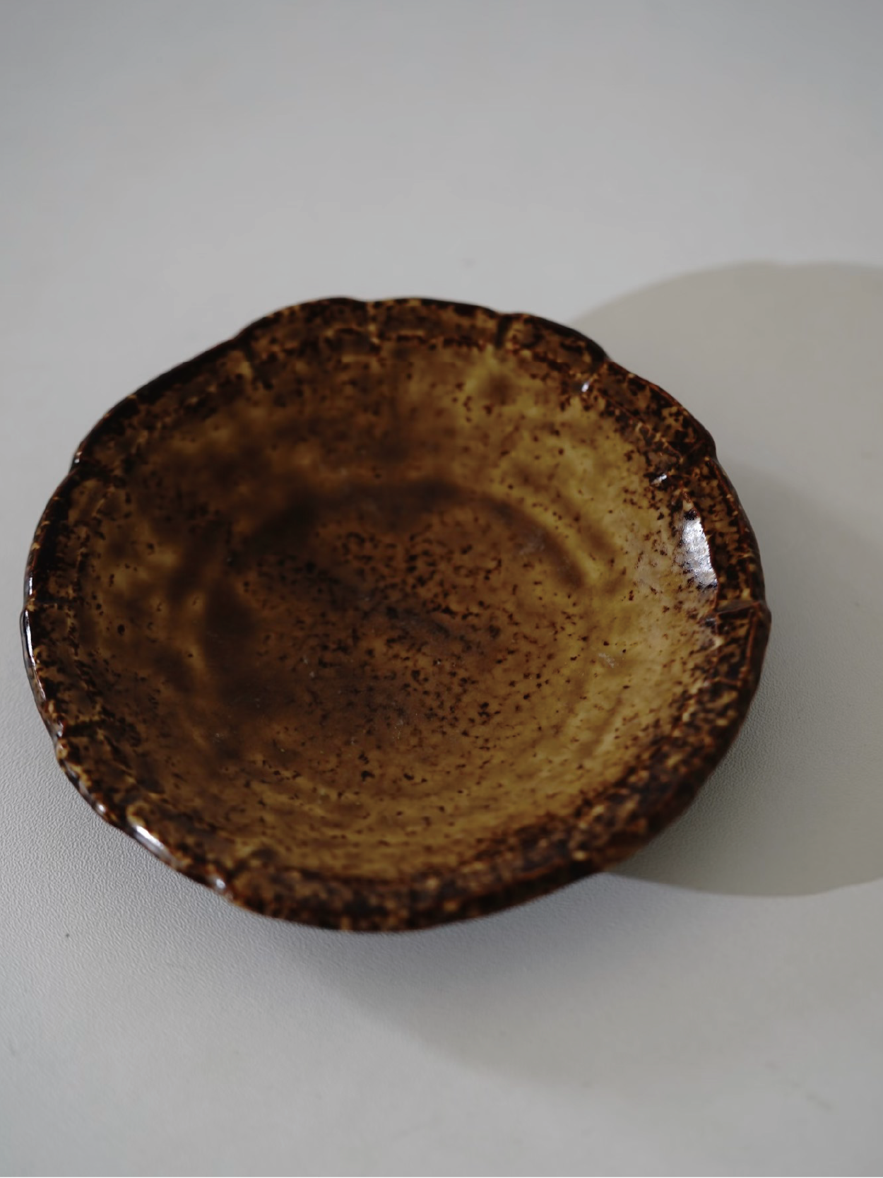 Earth-Toned Glazed Platter