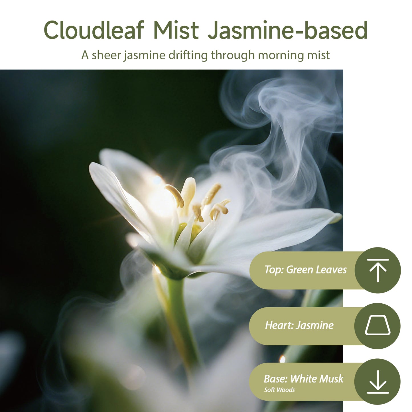 Aiimuzeum® Natural Jasmine Cone Incense 30 PCS- Handmade Excellence, Long Burning Perfect for Relaxation and Meditation,Aromatic Rooms,Air Purifier Home and House Decor (Cloudleaf Mist Jasmine)