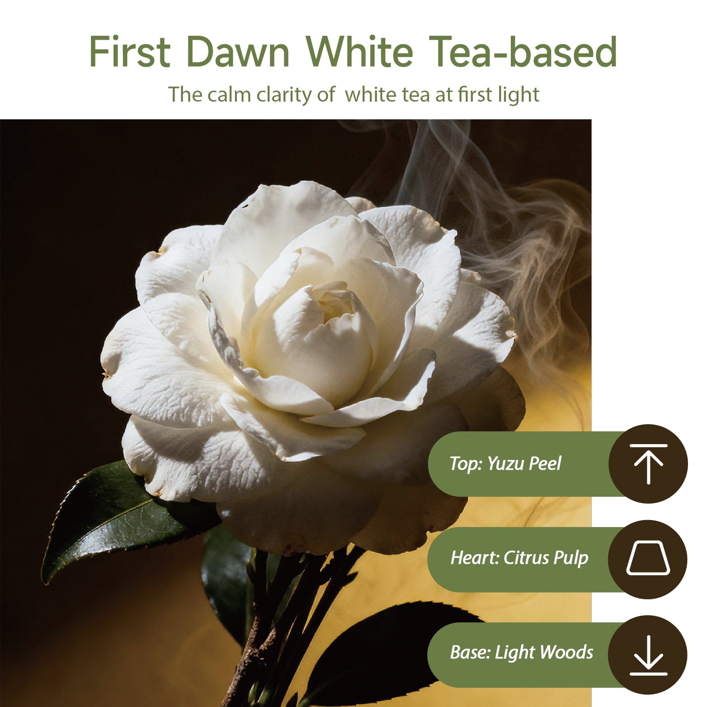 Aiimuzeum® Natural White Tea Cone Incense 30 PCS- Handmade Excellence, Long Burning Perfect for Relaxation and Meditation,Aromatic Rooms,Air Purifier Home and House Decor (First Dawn White Tea)