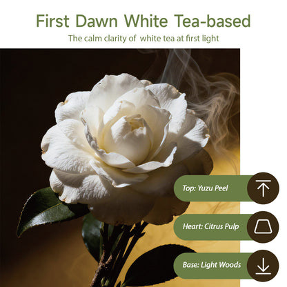 Aiimuzeum® Natural White Tea Cone Incense 30 PCS- Handmade Excellence, Long Burning Perfect for Relaxation and Meditation,Aromatic Rooms,Air Purifier Home and House Decor (First Dawn White Tea)