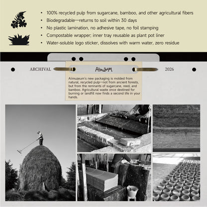 Aiimuzeum® Natural White Tea Cone Incense 30 PCS- Handmade Excellence, Long Burning Perfect for Relaxation and Meditation,Aromatic Rooms,Air Purifier Home and House Decor (First Dawn White Tea)