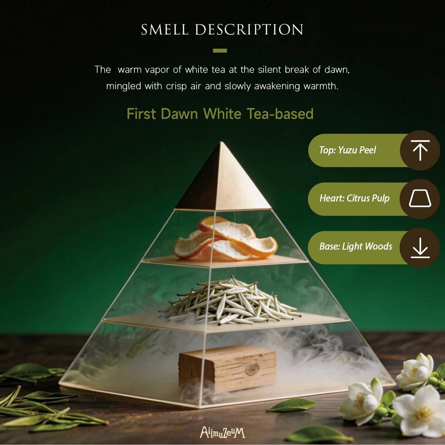 Aiimuzeum® Natural White Tea Cone Incense 30 PCS- Handmade Excellence, Long Burning Perfect for Relaxation and Meditation,Aromatic Rooms,Air Purifier Home and House Decor (First Dawn White Tea)